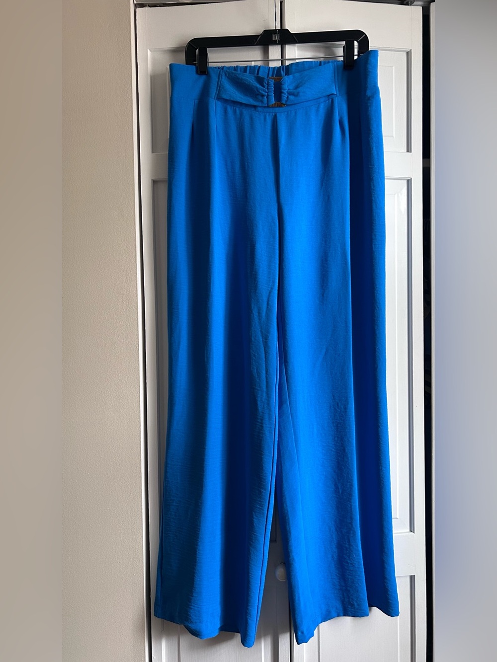 Bright Cobalt Wide-Leg Palazzo Pants size L